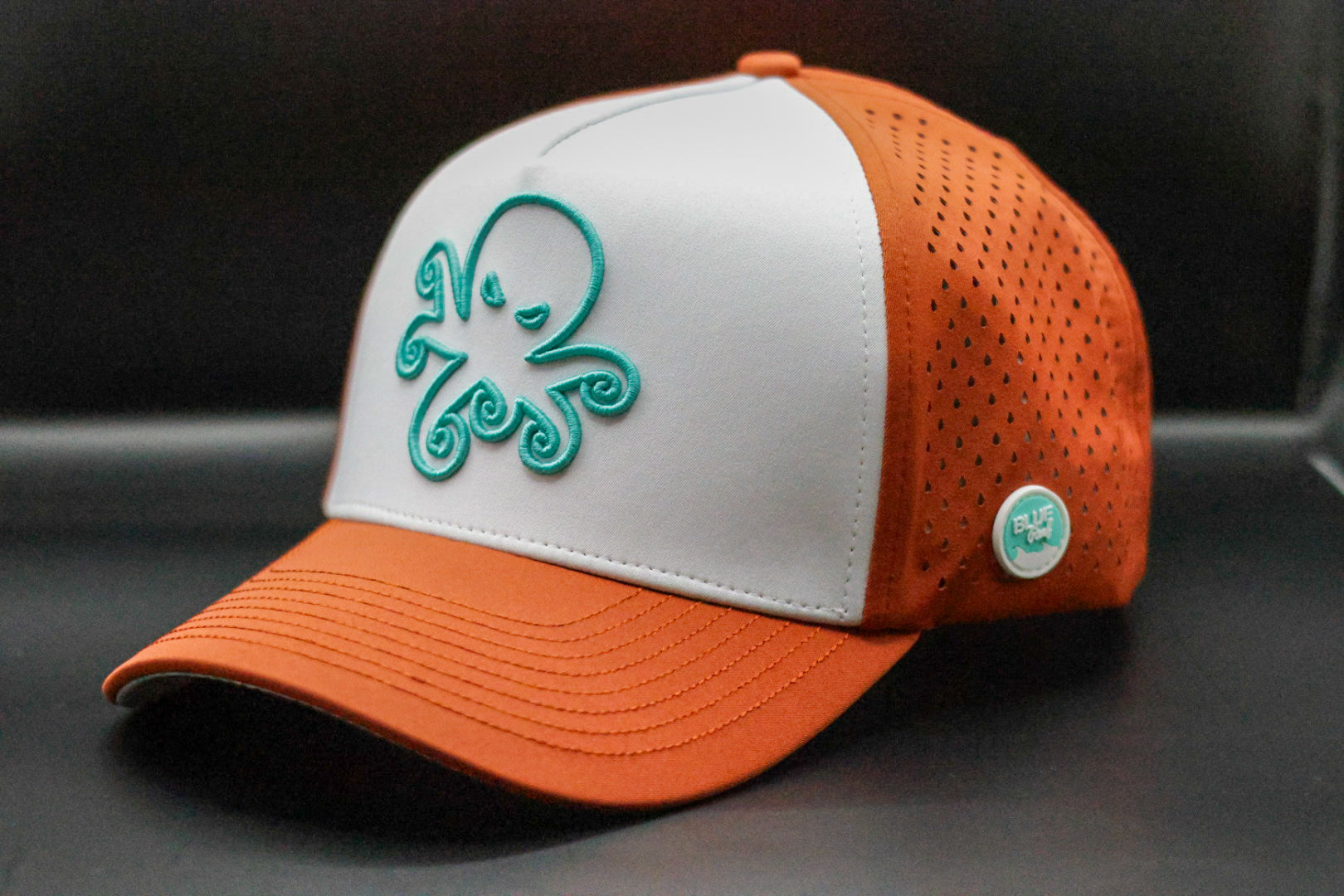 Gorra impermeable premium unisex
Snapback resistente al agua de alta calidad
Gorra de diseño exclusivo impermeable
Accesorio premium para días de lluvia en Puerto Rico
Gorra para actividades al aire libre bajo lluvia
Moda urbana resistente al agua en Puerto Rico
Diseño original y deportivo, snapback
Gorra impermeable y flotante color terracota y blanco con bordado de pulpo en azul aqua y deseños en debajo d ela vicera

